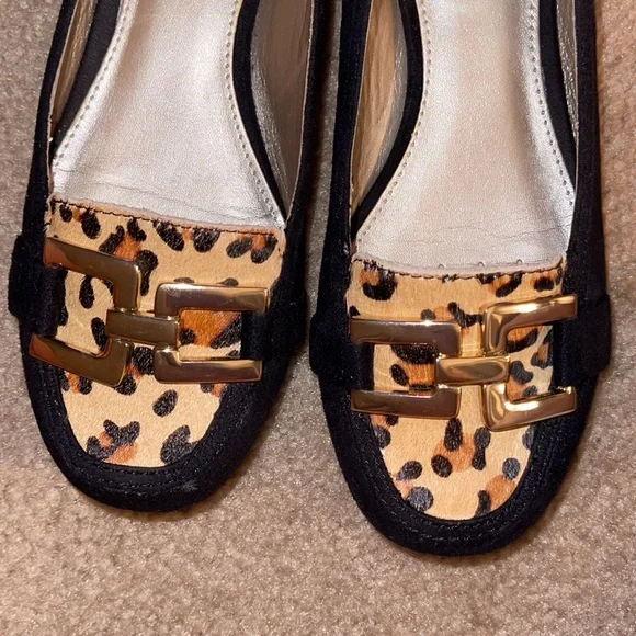 Alfani - Picture 3 of 4